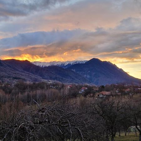 Bran Hill Villa Buitenkant foto